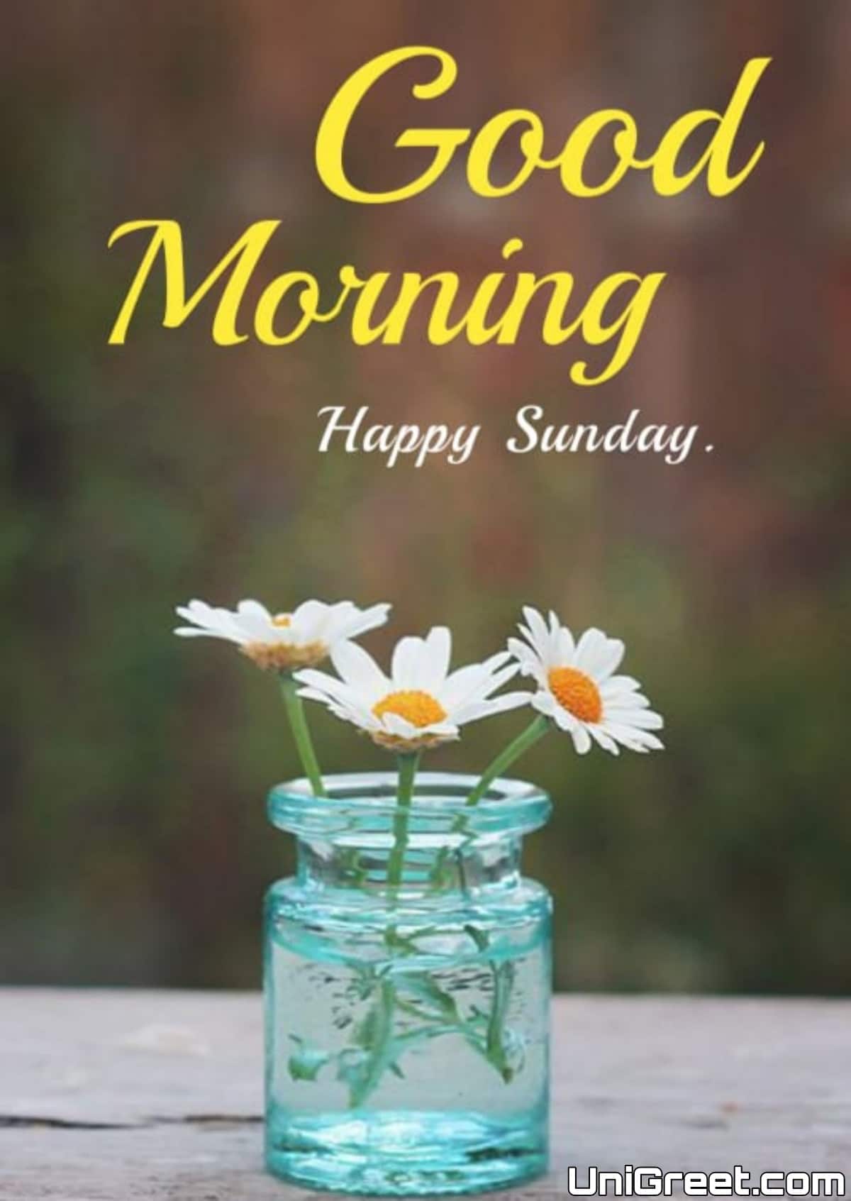 Beautiful Good Morning Happy Sunday Images Pictures Photos For