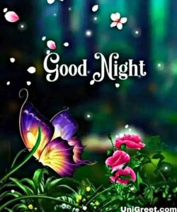 Latest Good Night Images Download For Whatsapp | New Special Good Night ...