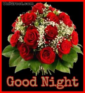 50 Good Night Rose Images, Photos, Shayari, Pics, Status Pictures Download