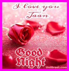 50 Good Night Rose Images, Photos, Shayari, Pics, Status Pictures Download