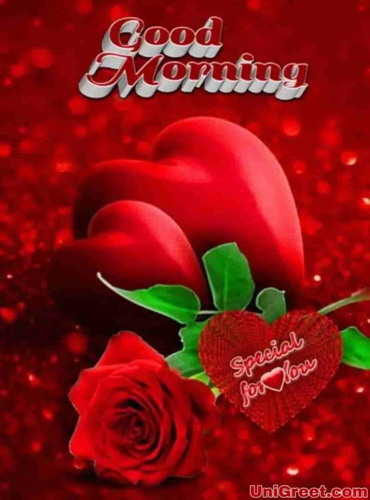 Good Morning Romantic Rose