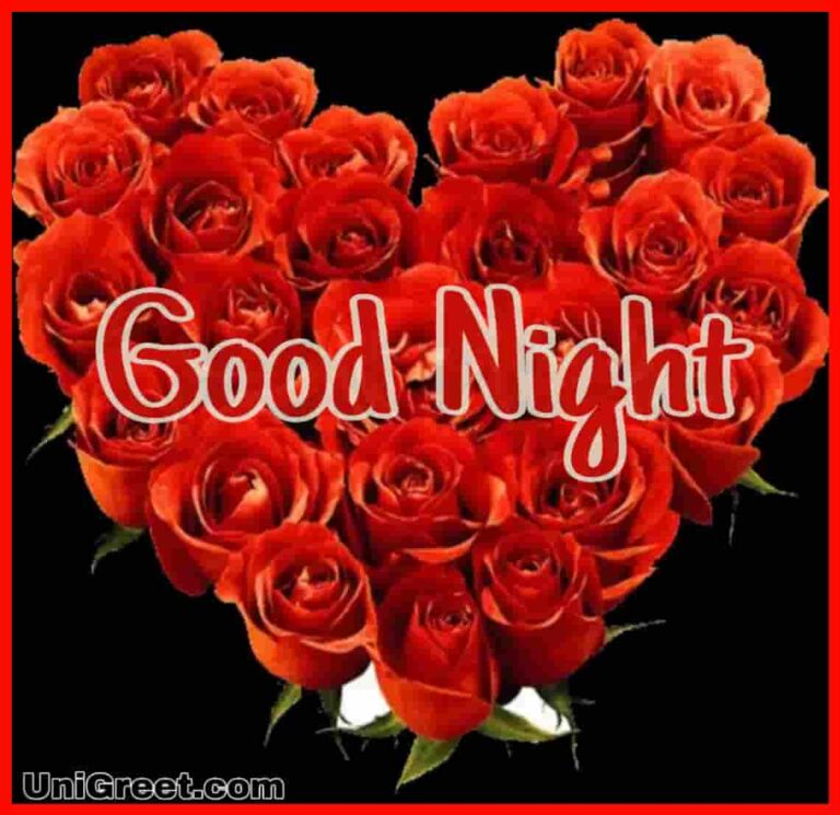 Top 50 Good Night Rose Images Photos Shayari Pics Status Pictures