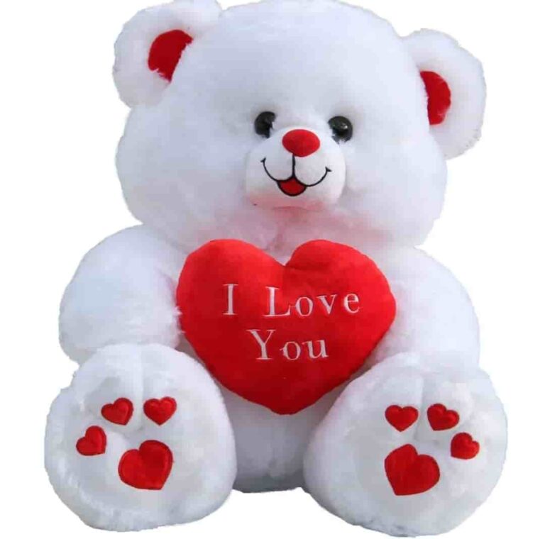 50 Sweet & Cute Teddy Bear Images, Pics For Teddy Bear Whatsapp Dp