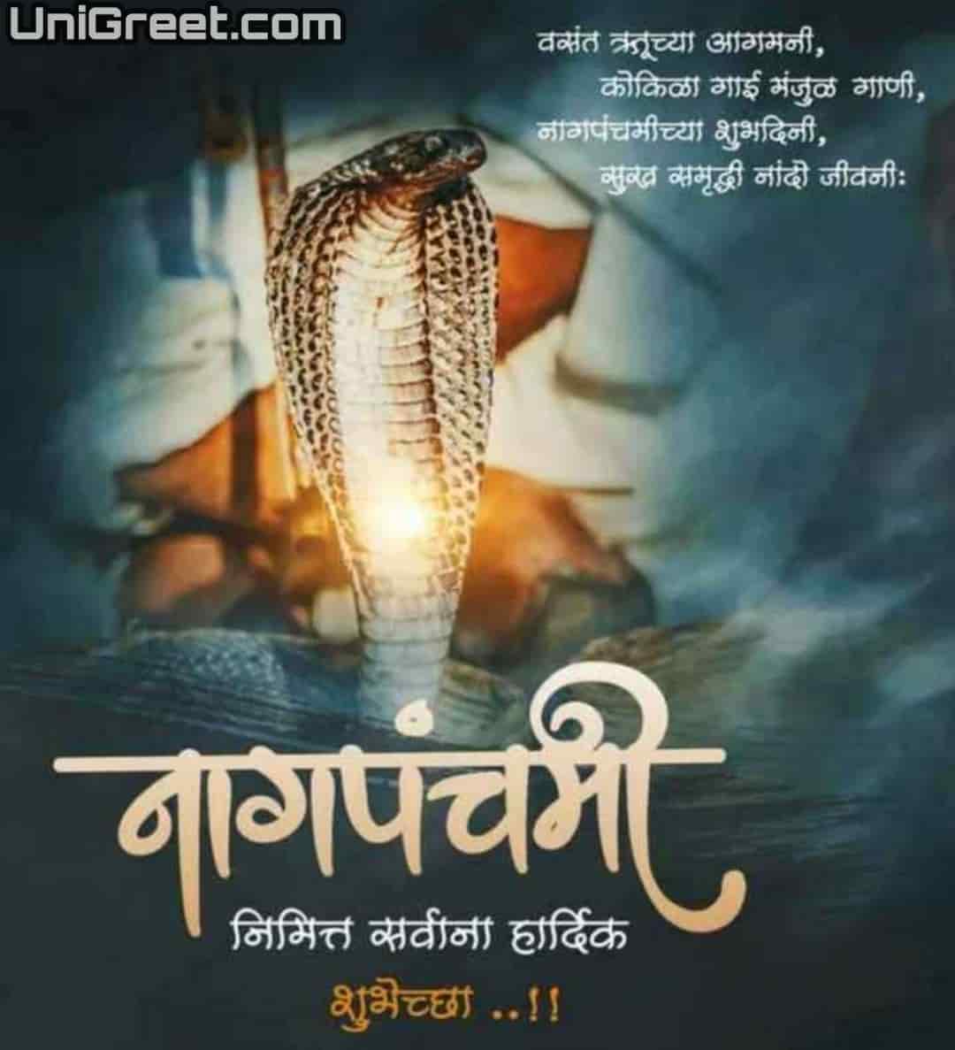 Best Nag Panchami Marathi Banner Background Images Download