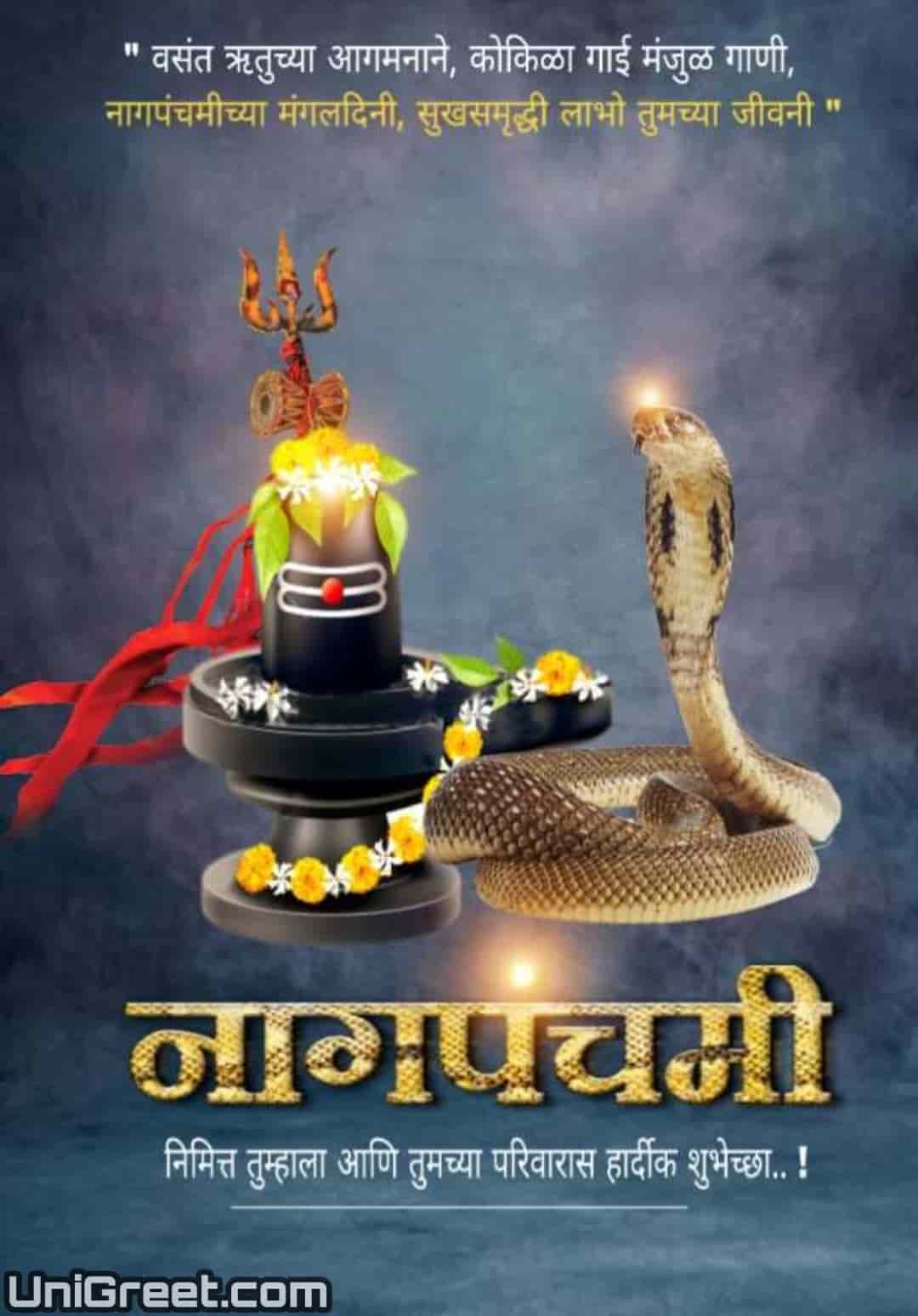 Best Nag Panchami Marathi Banner Background Images Download