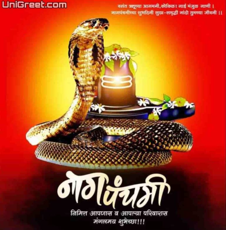 Best Nag Panchami Marathi Banner Background Images Download