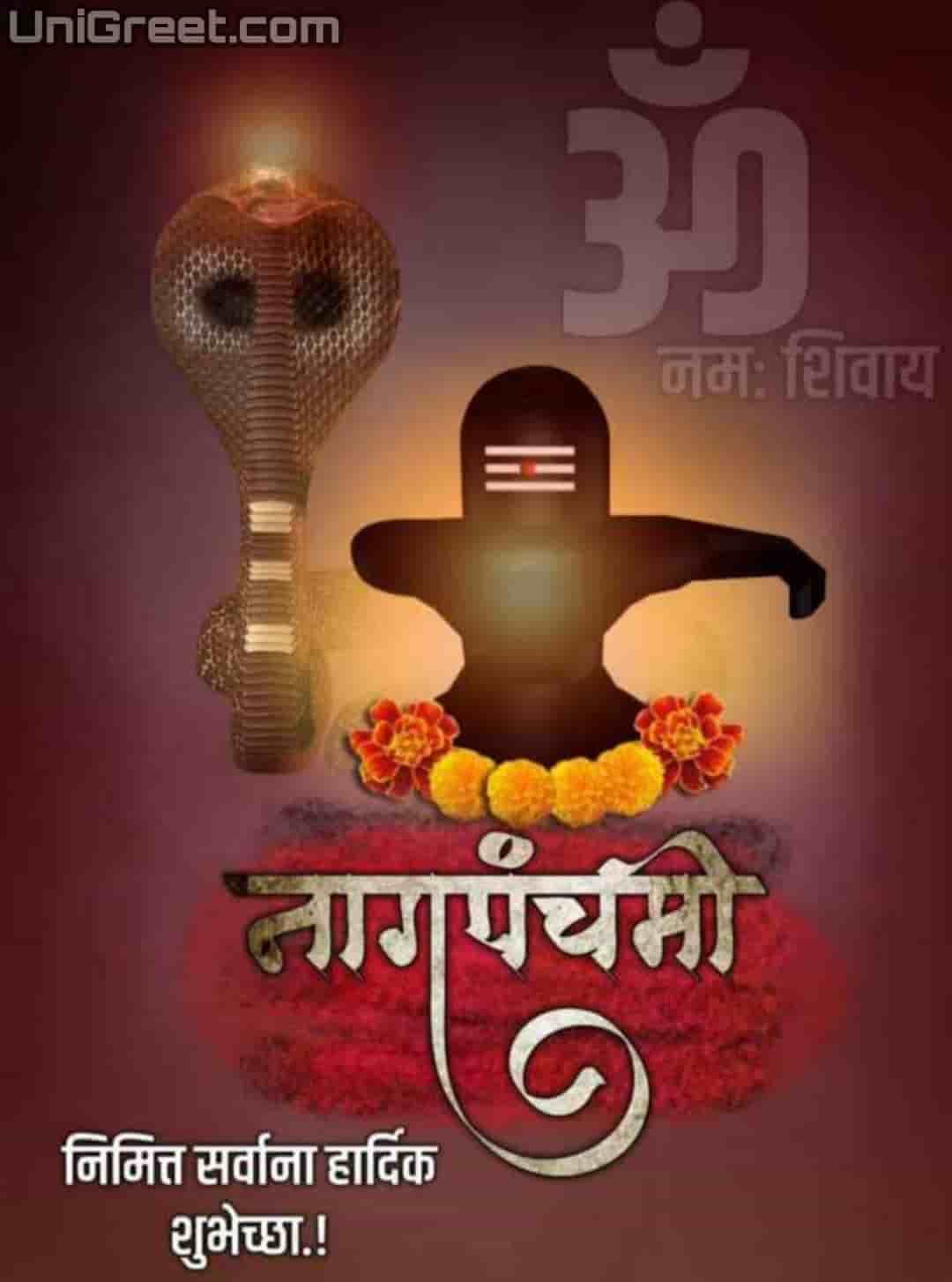 Best Nag Panchami Marathi Banner Background Images Download