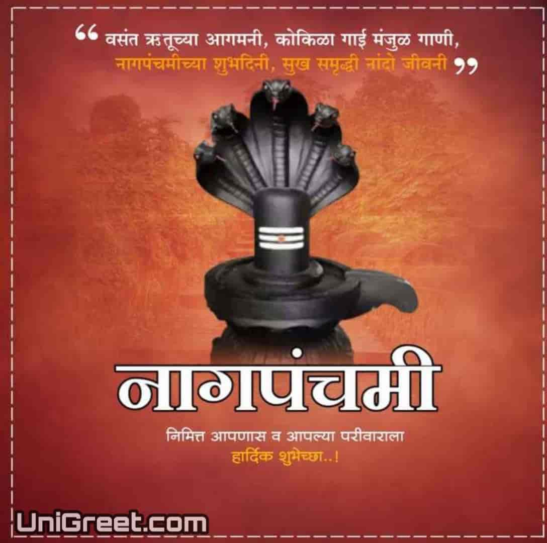 Best Nag Panchami Marathi Banner Background Images Download