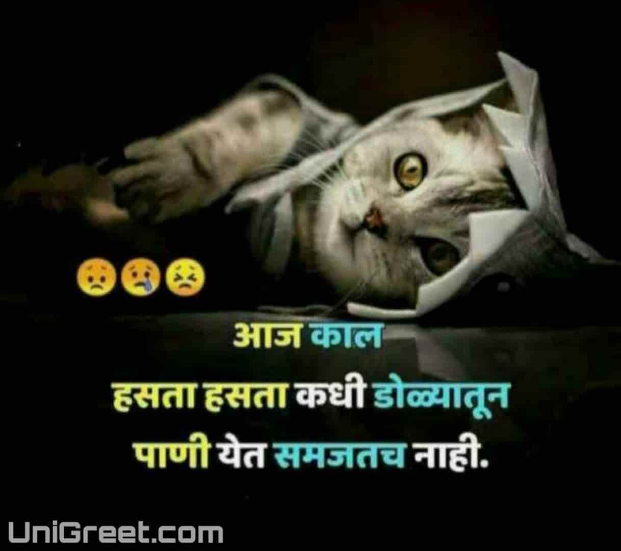 Best Cat Marathi Status Quotes Images With Funny Cat Marathi Jokes Pics