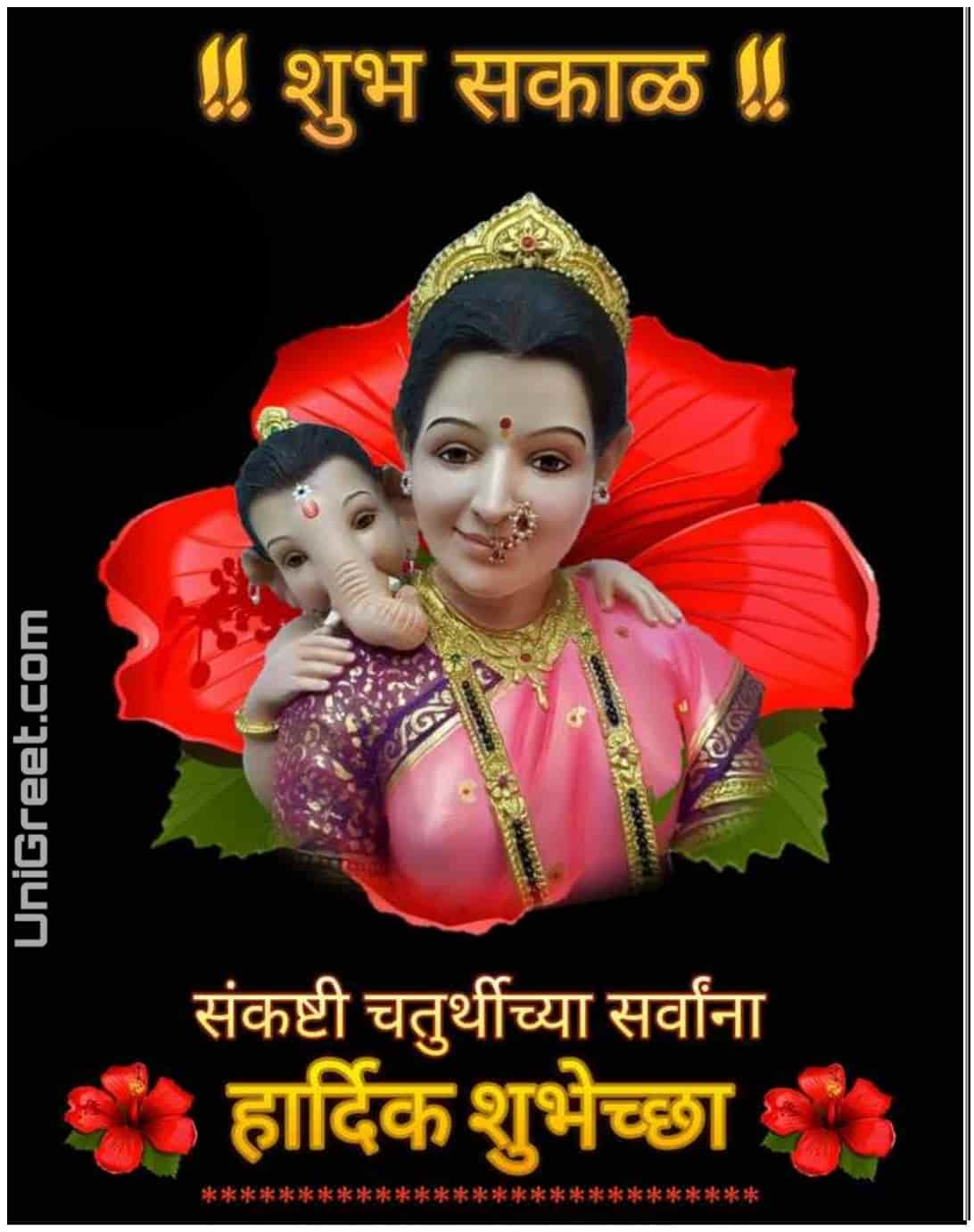 BEST Sankashti Chaturthi Special Status Quotes Wishes Images﻿ Banner