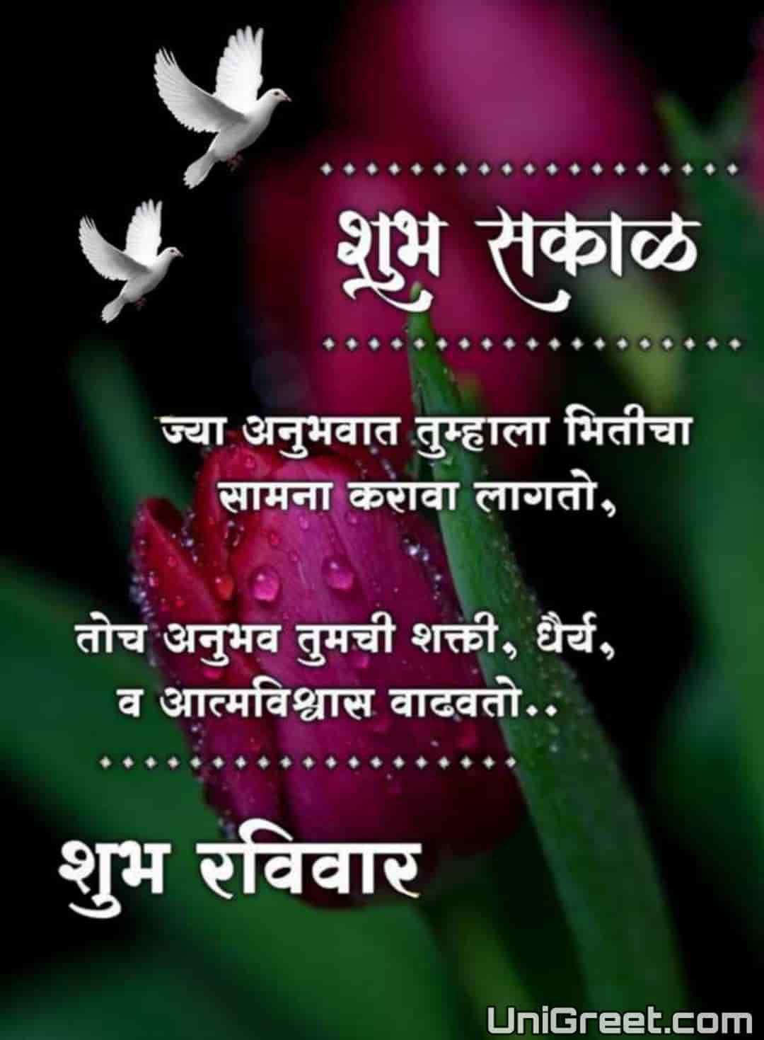 Beautiful Good Morning Happy Sunday Marathi﻿ Images, Quotes, Status ...