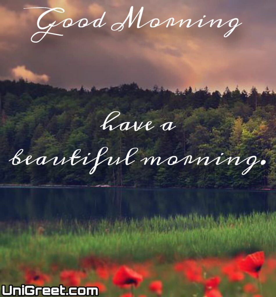 Latest Good Morning 4k Hd Images Free Download - Good Morning