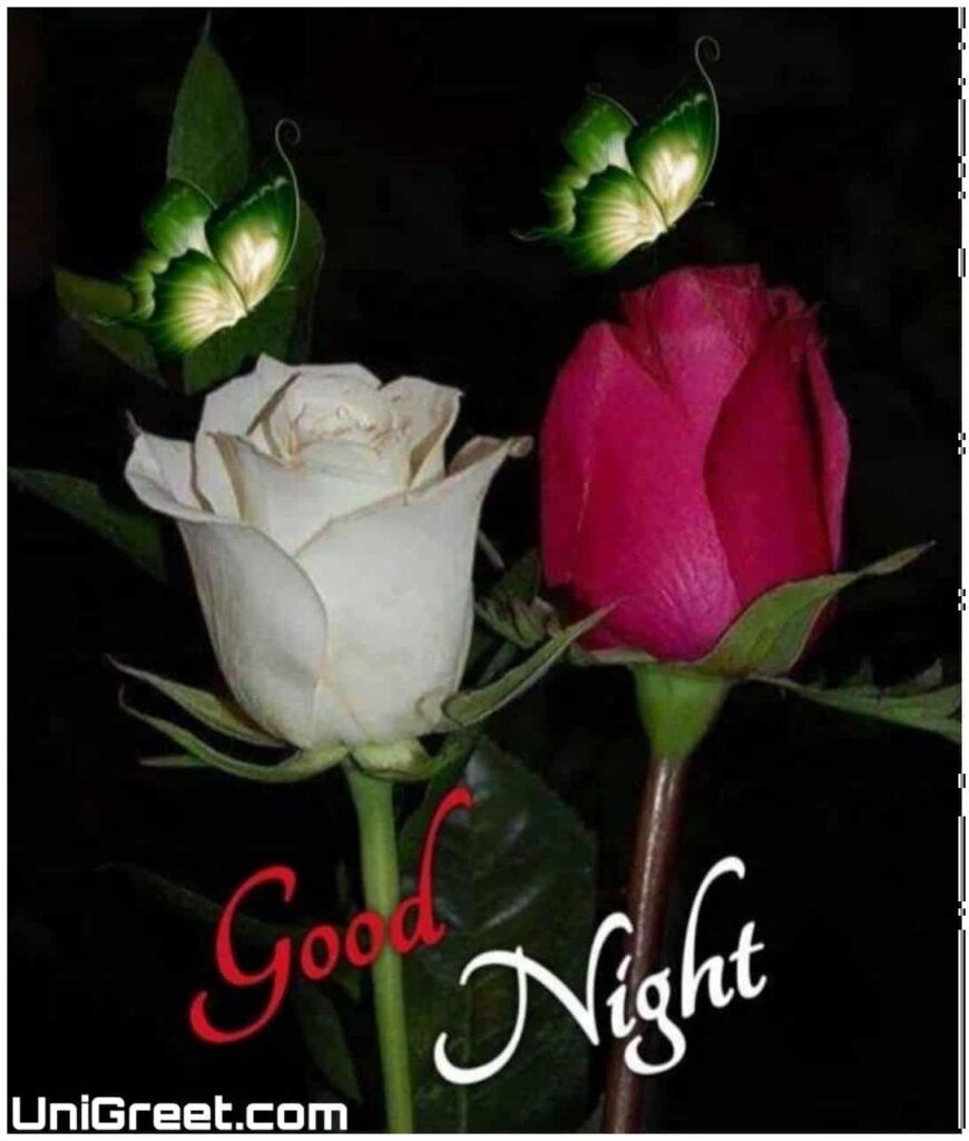 good night beautiful roses