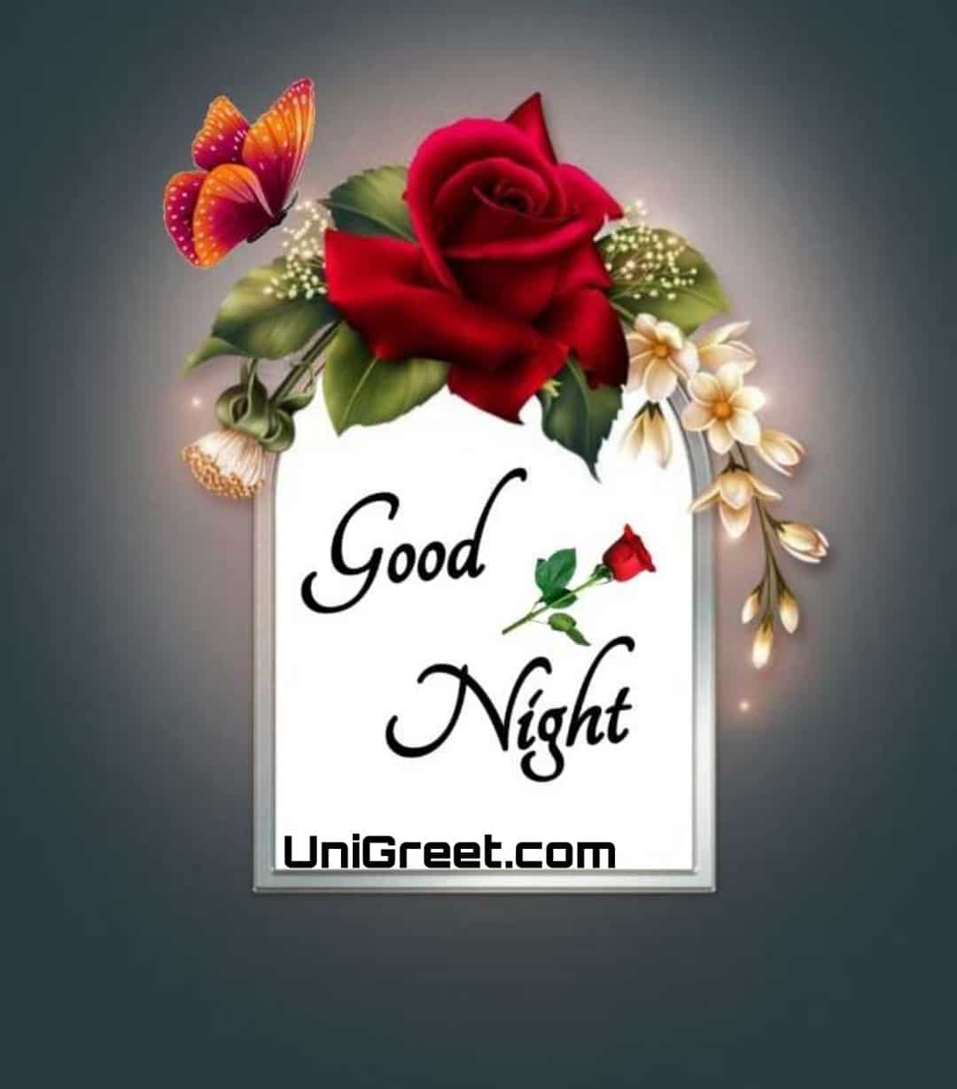 50 Good Night Rose Images, Photos, Shayari, Pics, Status Pictures Download