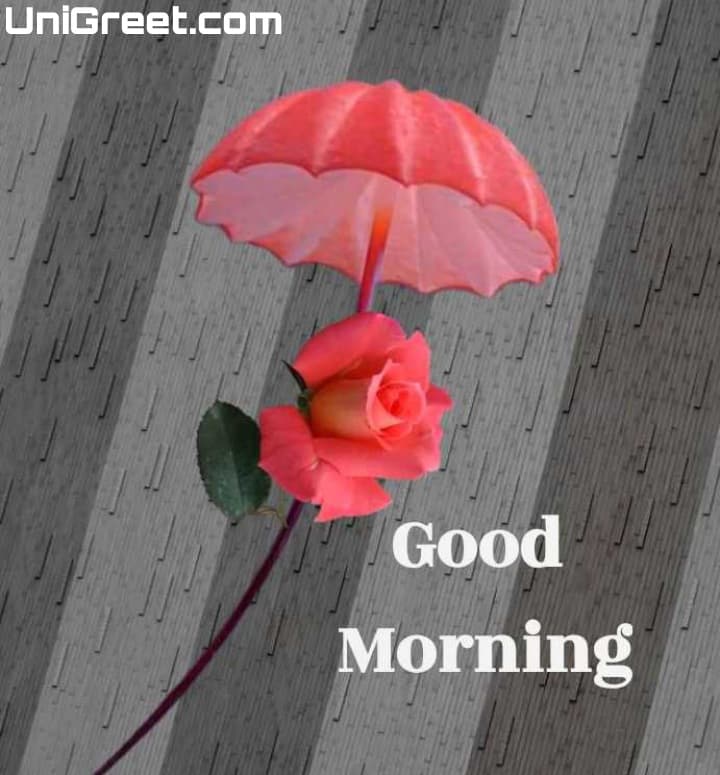 100 Beautiful Good Morning Images For Whatsapp Free Download