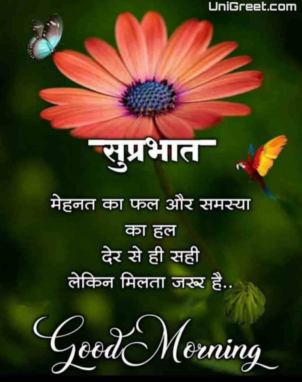 100+ Best Hindi Good Morning Images Quotes For Whatsapp Free Download