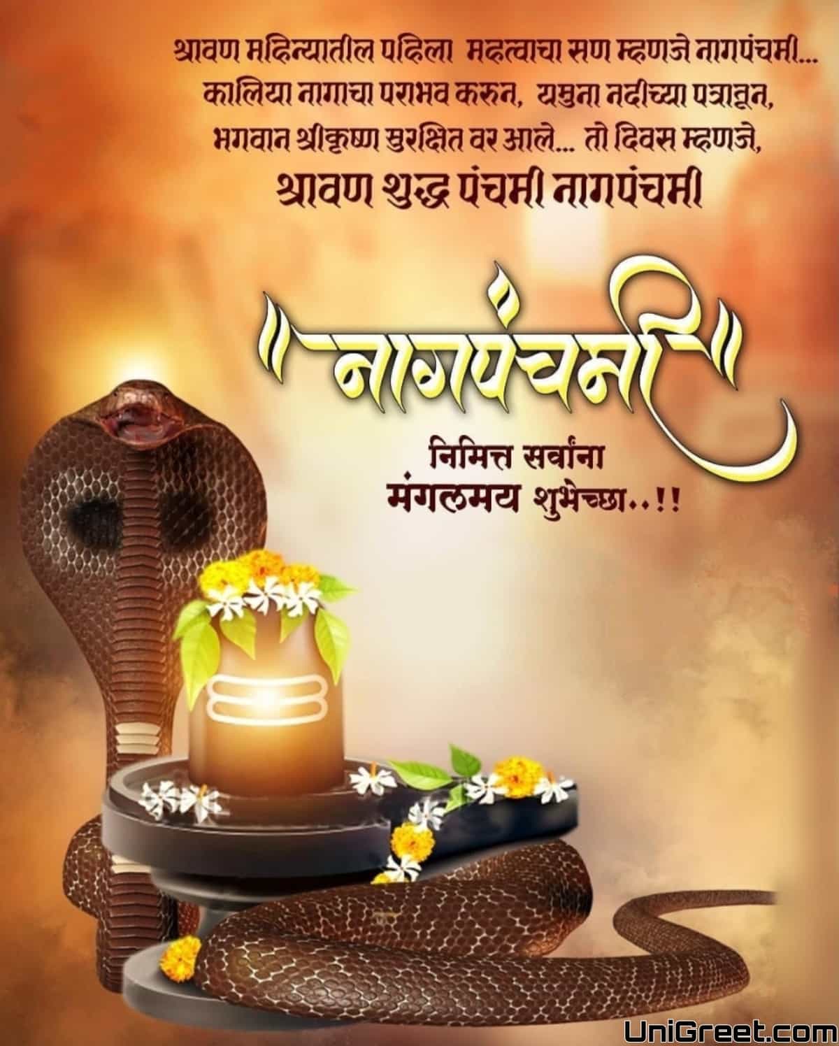 Best Nag Panchami Marathi Banner Background Images Download