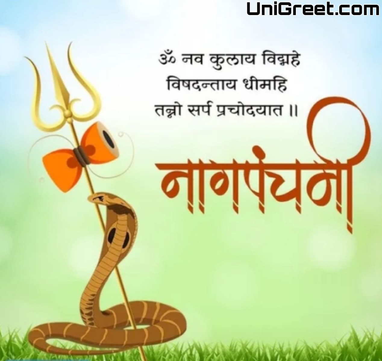 Best Nag Panchami Marathi Banner Background Images Download