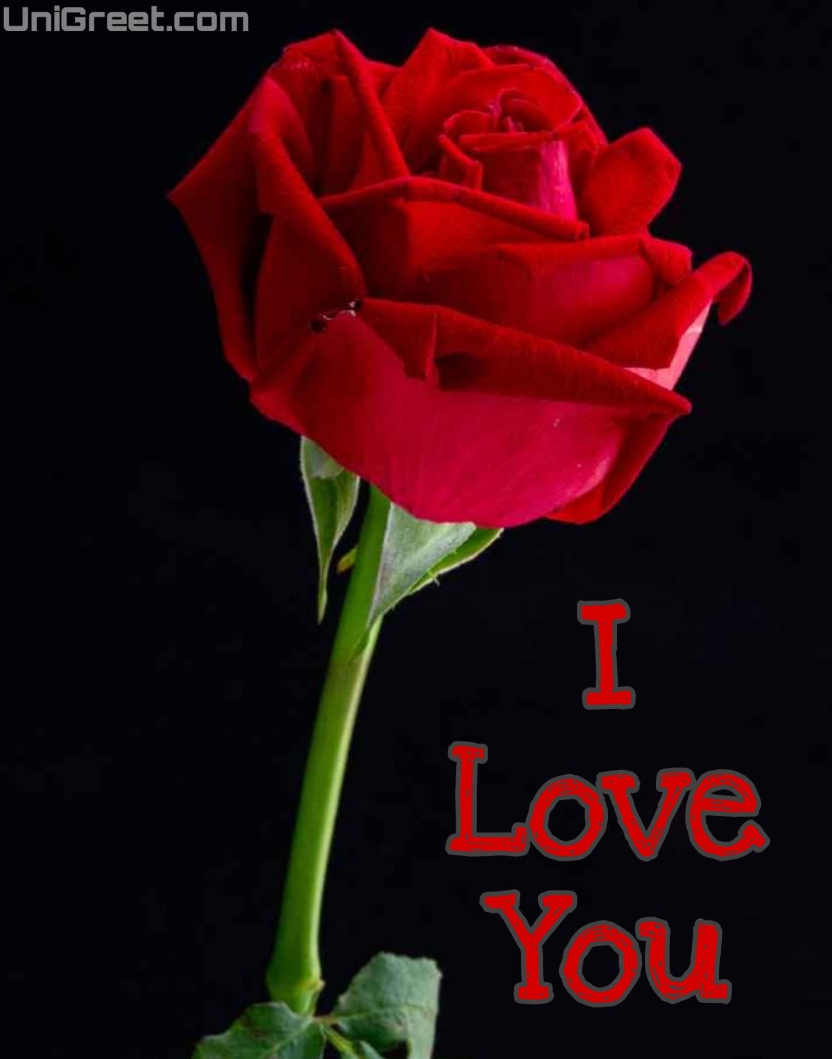 Latest I Love You Images, Wallpaper, Pics & Photos For Whatsapp Dp