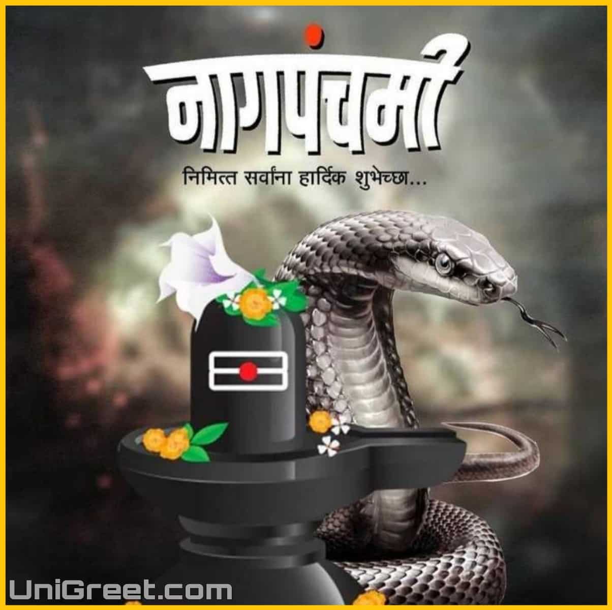 Best Nag Panchami Marathi Banner Background Images Download