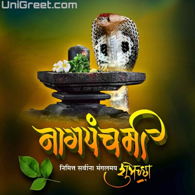 Best Nag Panchami Marathi Banner Background Images Download