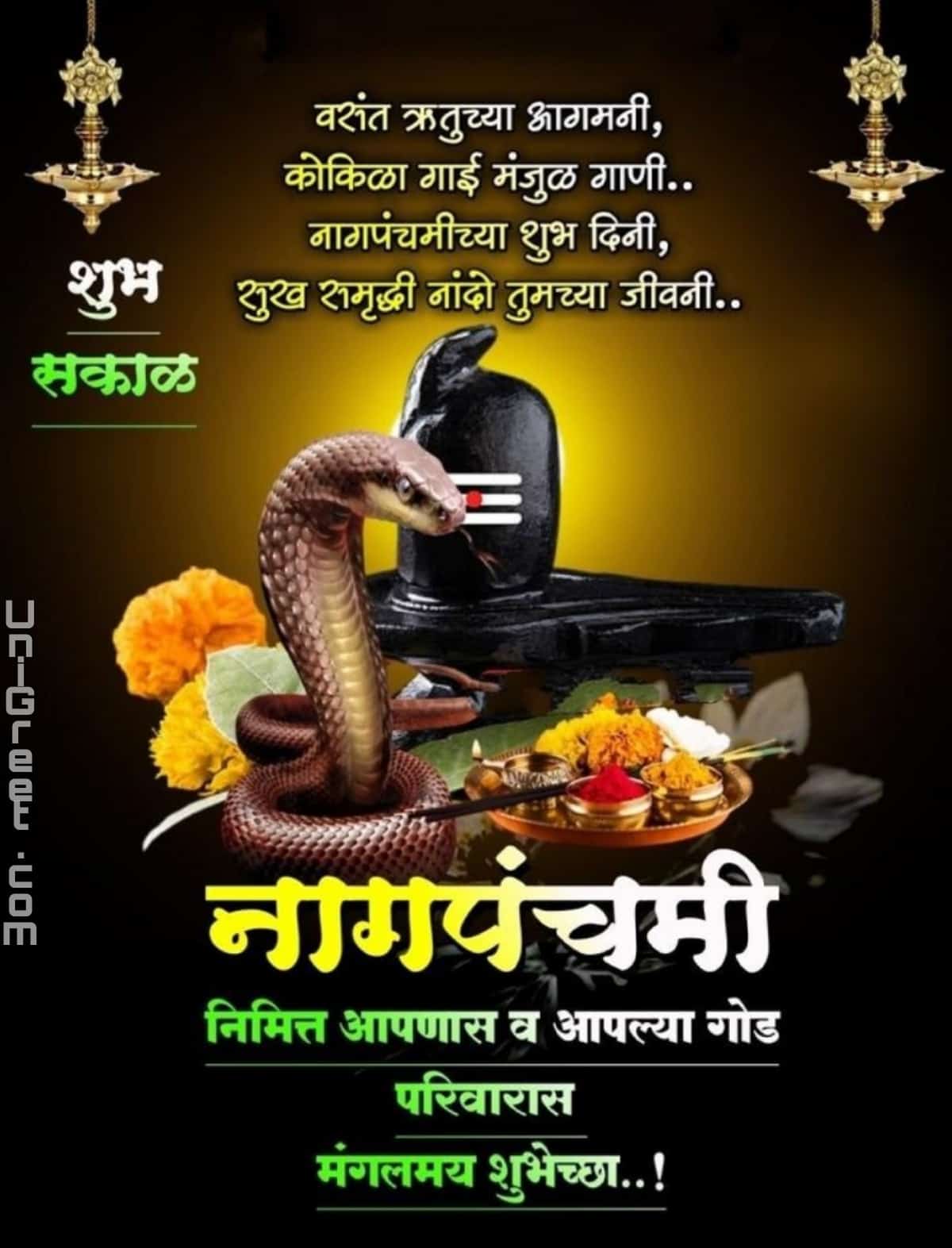 Best Nag Panchami Marathi Banner Background Images Download