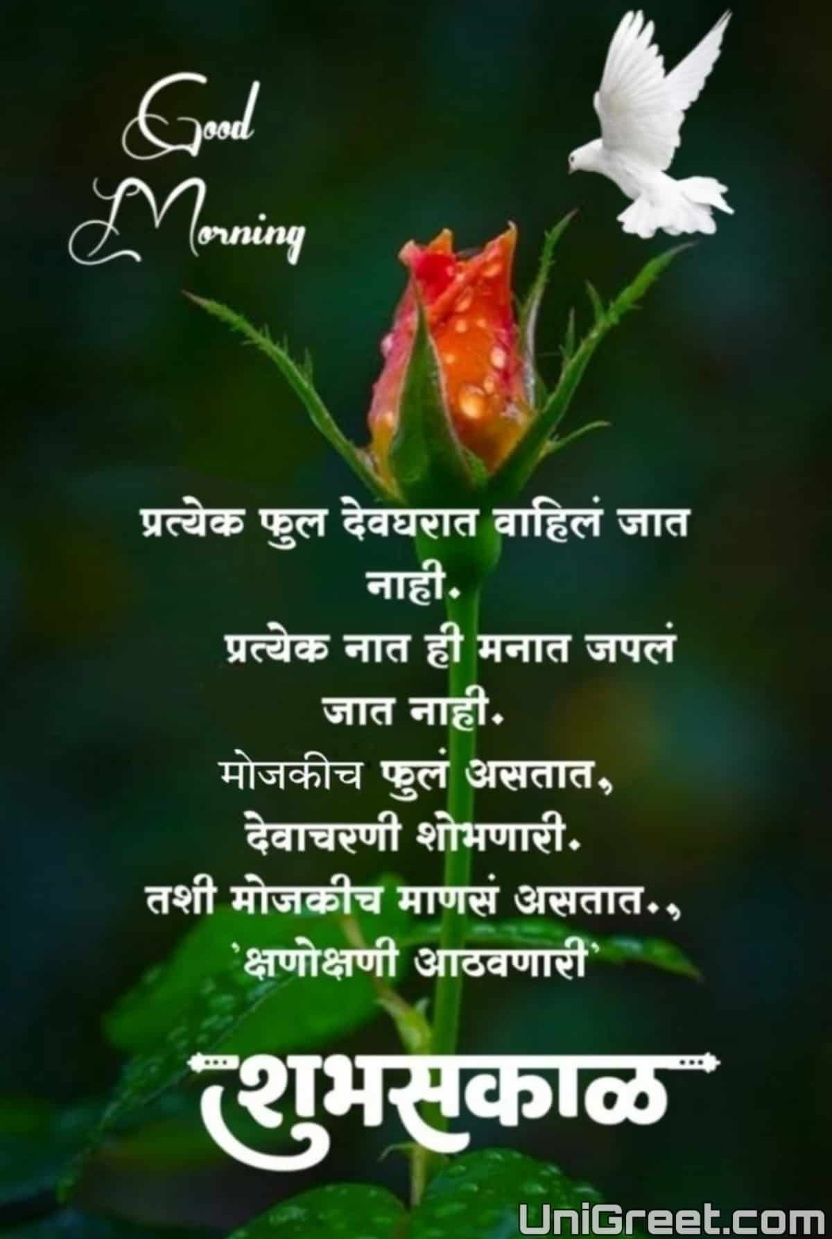 100 शुभ सकाळ मराठी शुभेच्छा | New Good Morning Images, Wishes In ...