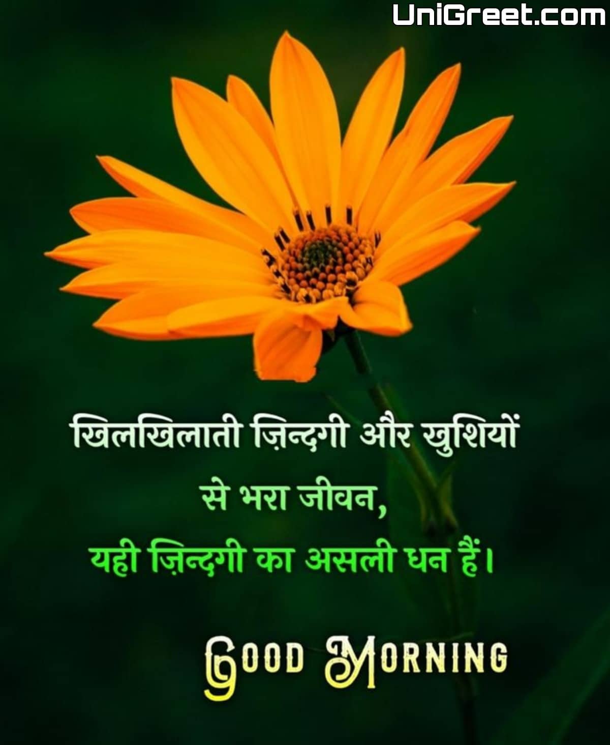 100+ Best Hindi Good Morning Images Quotes For Whatsapp Free Download