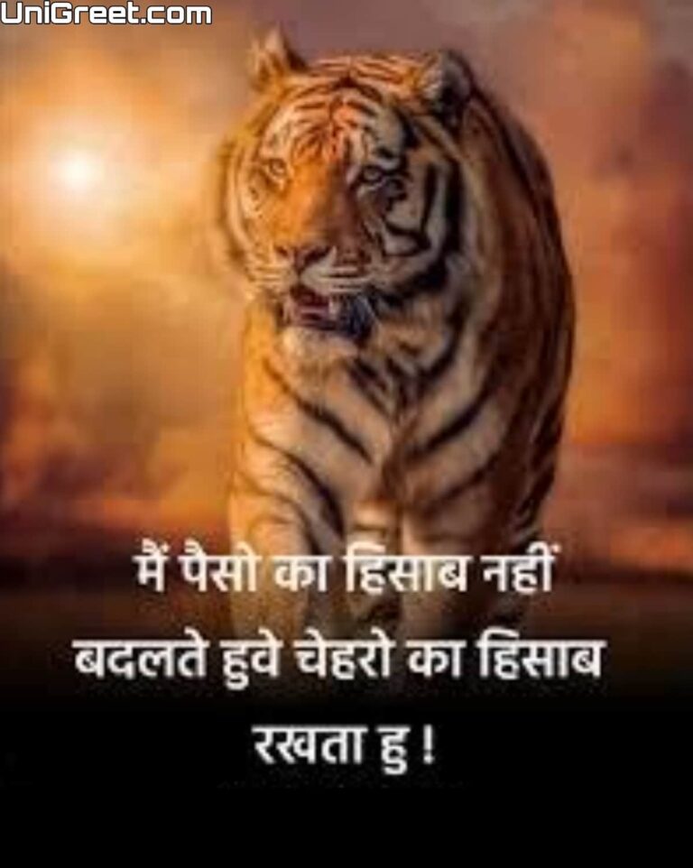 Best Tiger Attitude Quotes, Shayari, Status Images In Hindi