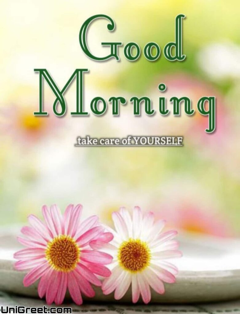 Collection of over 999 beautiful Good Morning HD images with flowers in ...