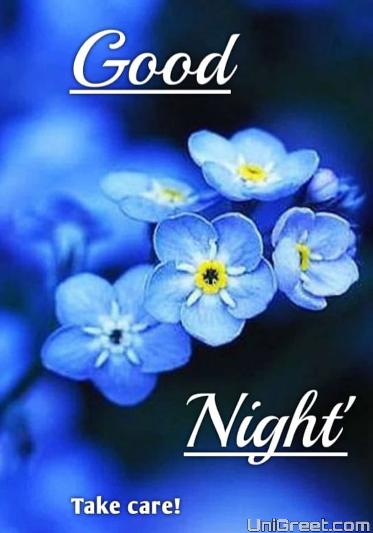 50 Beautiful Good Night Flowers Images, HD Photos Download