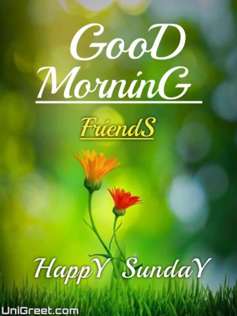 good morning friends have a wonderful sunday