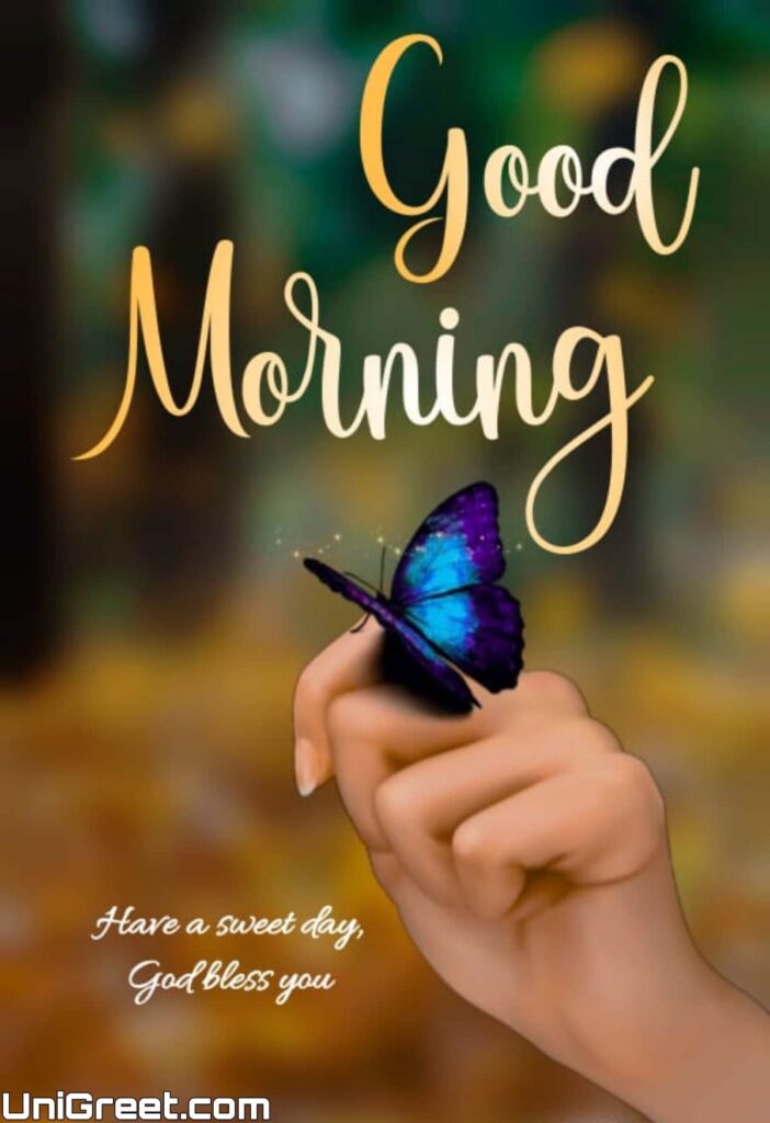 Best Good Morning Images For Whatsapp Free Download HD Wallpaper  Pictures Photos Of Good Mor  Good morning images Good morning picture Good  morning images hd