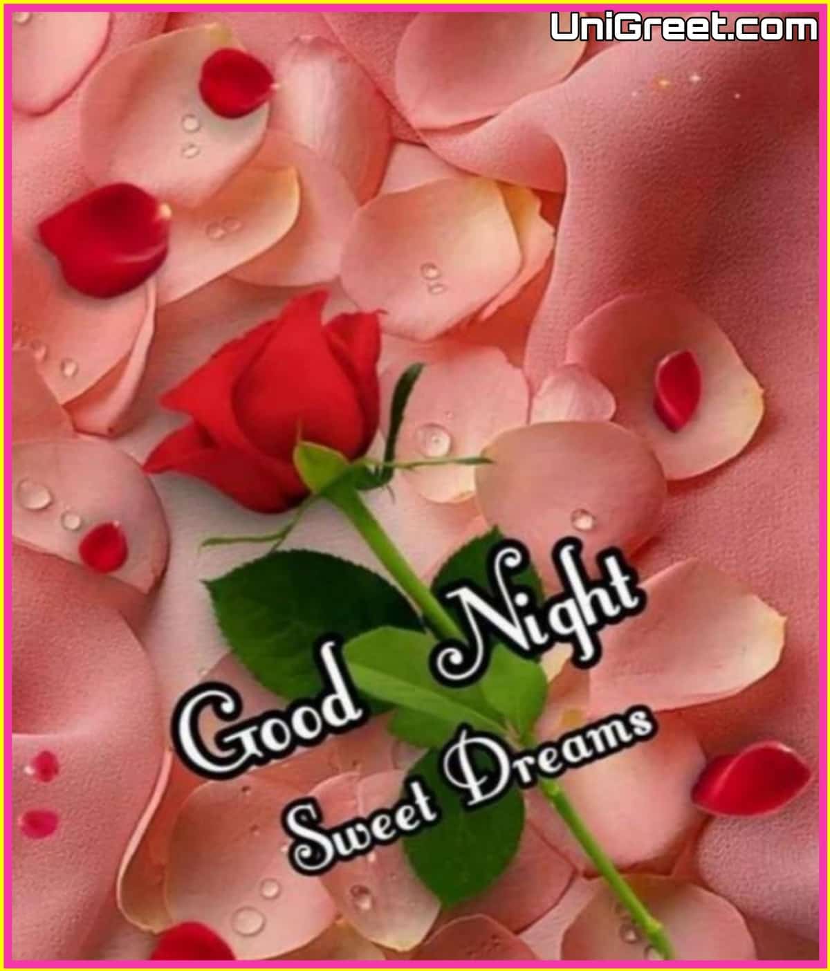good night wallpaper with rose