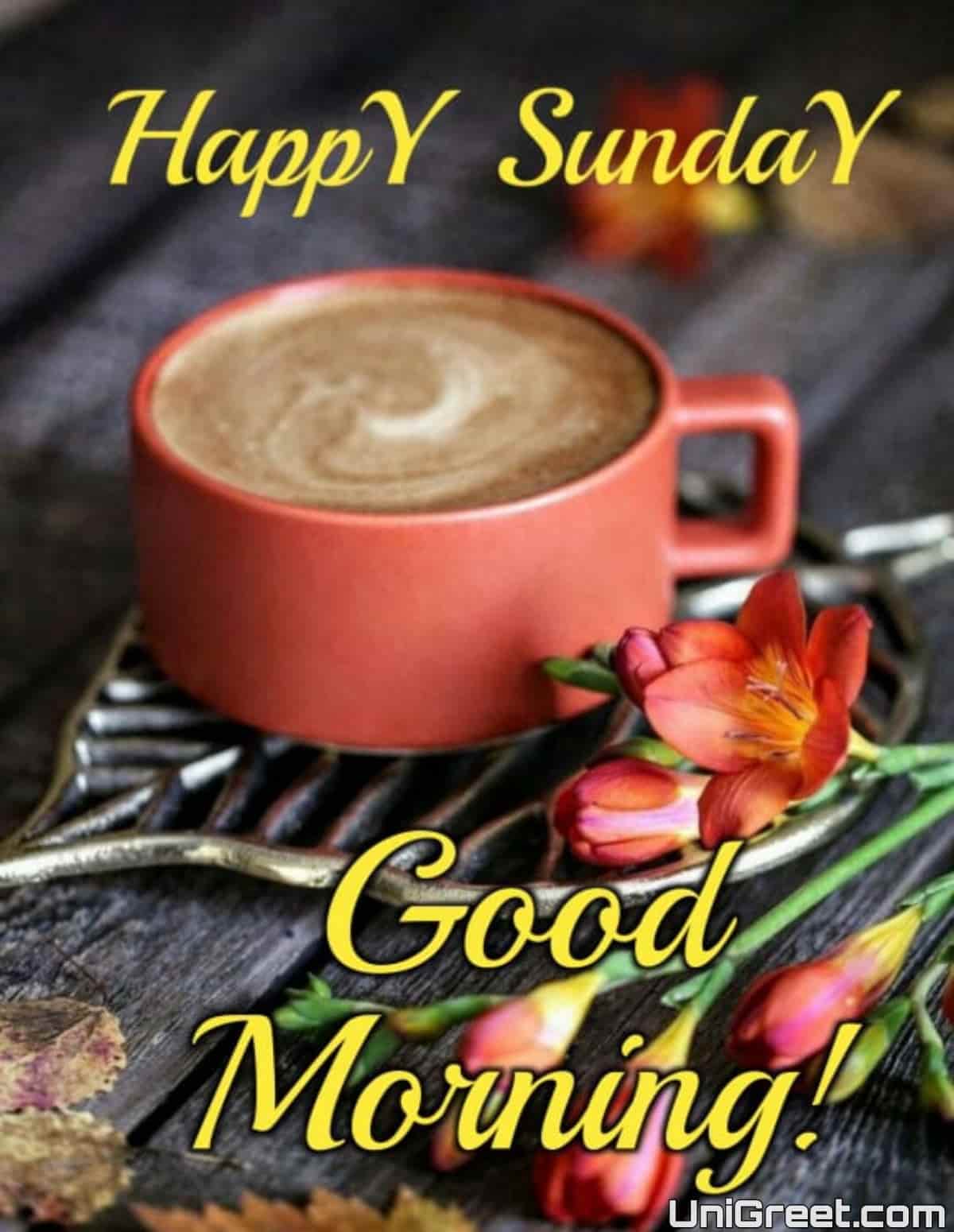 Collection of Over 999 High-Quality Good Morning Happy Sunday HD Images in Full 4K Resolution