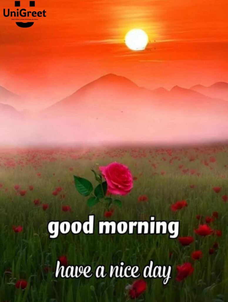 most beautiful good morning pictures