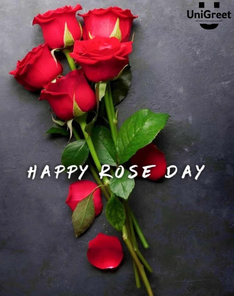 Happy Rose Day 2023 Wishes 🌹Images, Whatsapp Status Photos