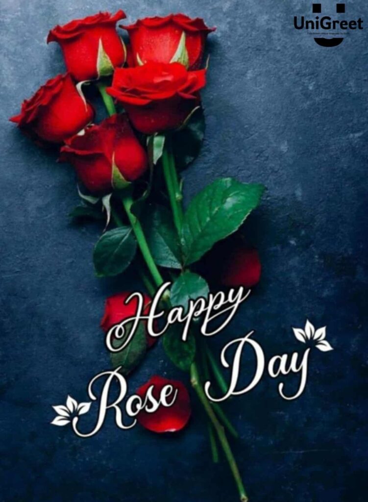 Happy Rose Day 2023 Wishes 🌹Images, Whatsapp Status Photos