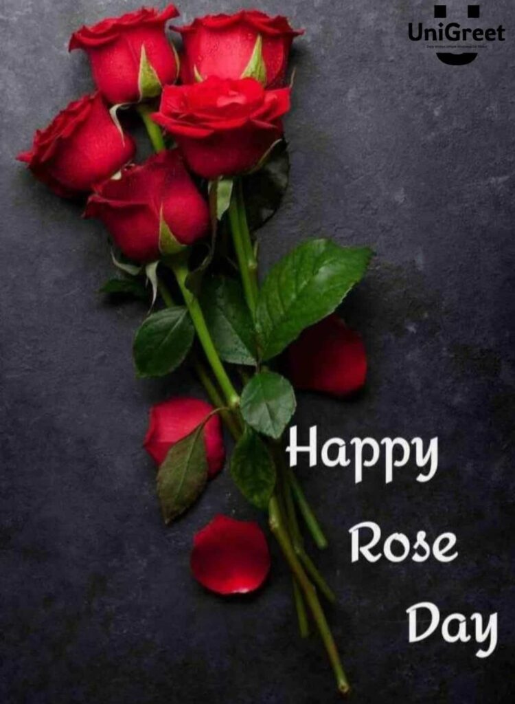 Happy Rose Day 2023 Wishes 🌹images, Whatsapp Status Photos