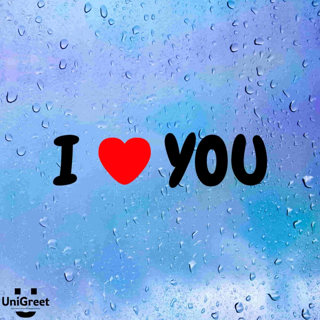 I love you 1080P 2K 4K 5K HD wallpapers free download  Wallpaper Flare